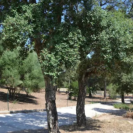 Luxueuse Maremuntagna Vecchio Pensión Porto Vecchio